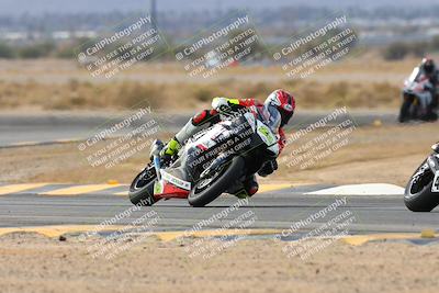 media/Feb-08-2025-CVMA (Sat) [[fcc6d2831a]]/Race 10-Supersport Open/